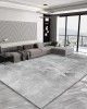 High-end, simple, stain-resistant living room carpet, large wall-to-wall blanket, home bedroom bedside rug, wear-resistant sofa blanket High-end, simple, stain-resistant living room carpet, large wall-to-wall blanket, home bedroom bedside rug, wear-resistant sofa blanket